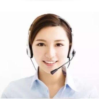 Support Agent